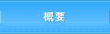 概要